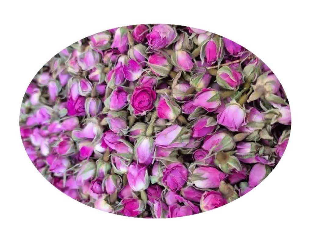 گل محمدی 