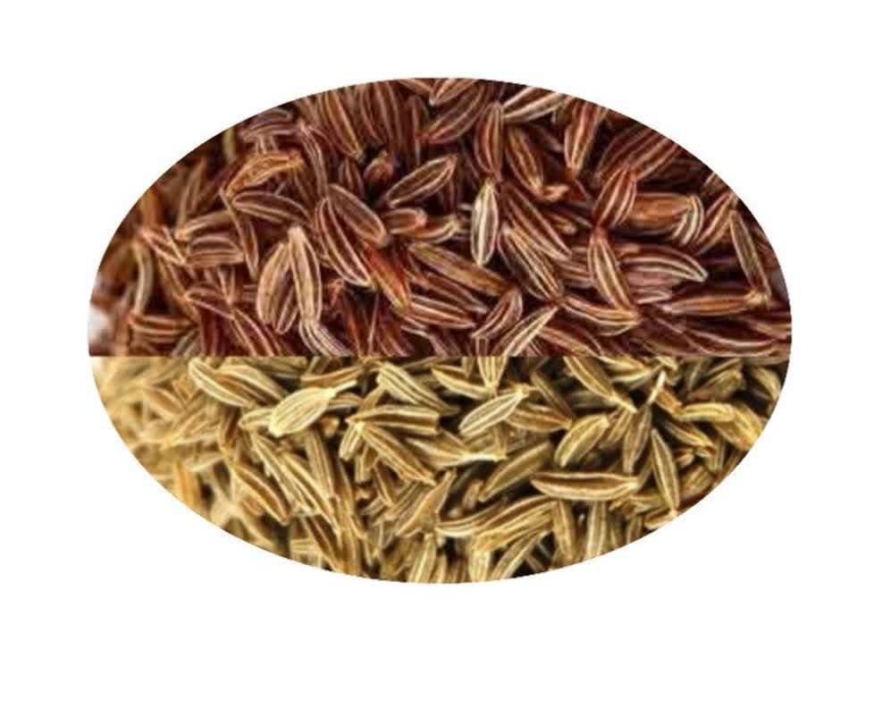 زیره